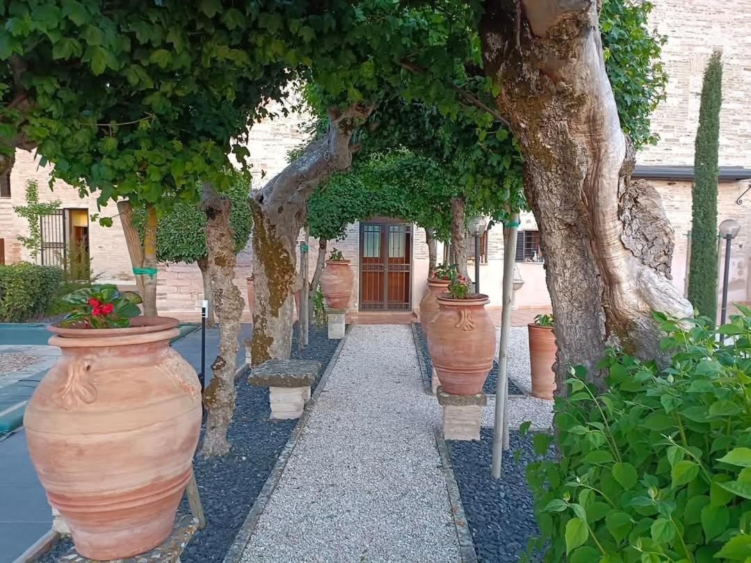Degli Alessandri House Sassoferrato Екстер'єр фото